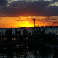 MUELLE 7