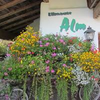 Ellmauer Alm