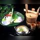 Снимок Asakusa Kaminarimon Wakashika, Таито
