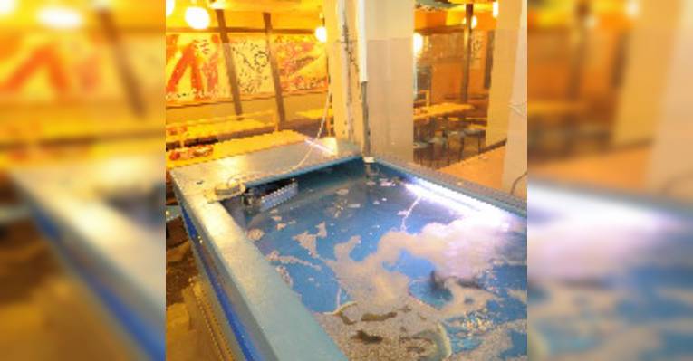 Снимок Katsugyo Oroshi Chokuei No Mise Yokohama Ika Center, Иокогама