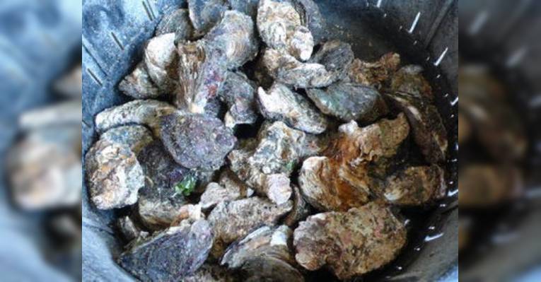 Снимок Shinjuku Oyster Bar Covo, Сибуя
