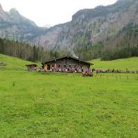 Fischunkelalm