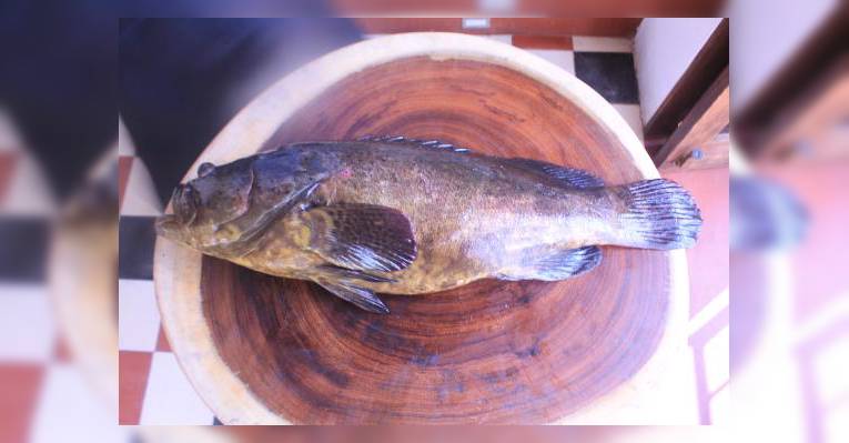 Изображение Mar Etxea Gastro Bar, Нуэво-Вальярта