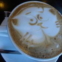 Traveler's Coffee