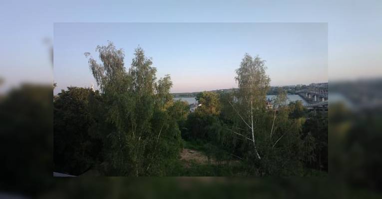 Вид