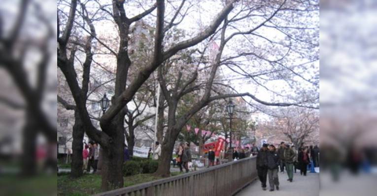 Снимок Tsubohachi Asakusa Eki Bldg., Таито