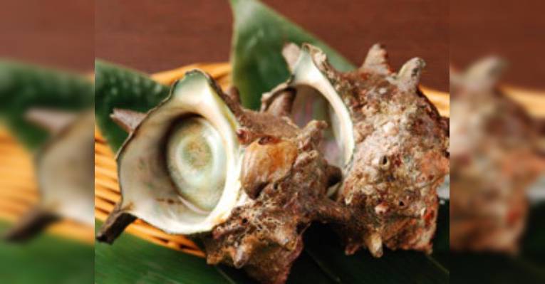 Снимок Yoshisushi, Синагава