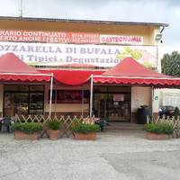 Casearia