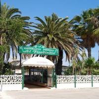 Lido Ficodindia