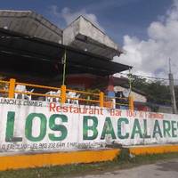 Los Bacalares