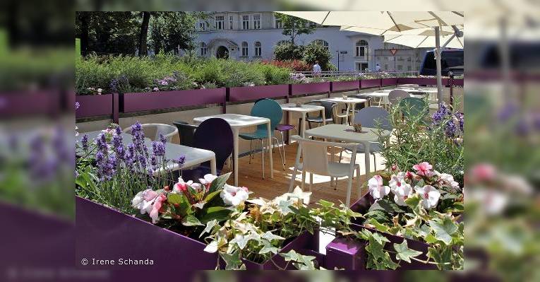 Изображение Deli Bluem, Вена
