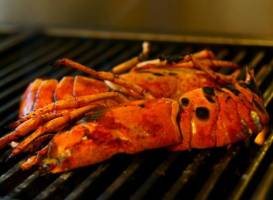 BossaNova Steakhouse