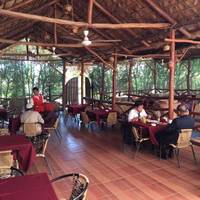 Cedars Restaurant at Lisamin Safari Hotel
