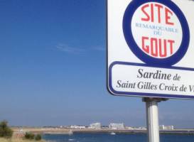 Le Banc des Sardines
