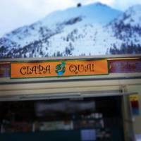 Ciapa Qua! Gastronomie Veloci