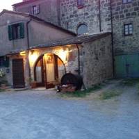 Ristoro Lupo De' Lupis