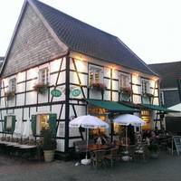 Kleine Olive
