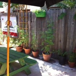 Green Thumb Deli