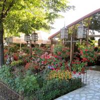 Pizzeria Domneasca