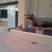 The Lucky Bull