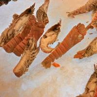 Art Culinary Buffet