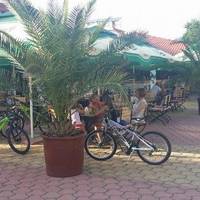 PIZZA RESTAURANT CENTRAL