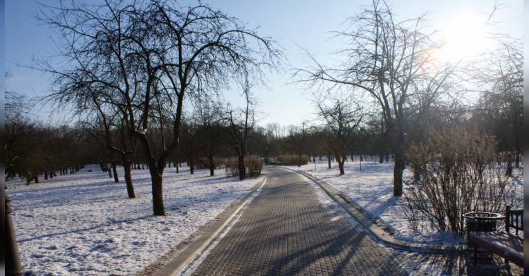 Лошицкий парк. Минск