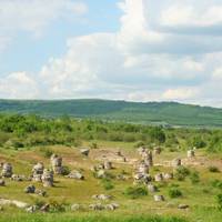 Каменный лес