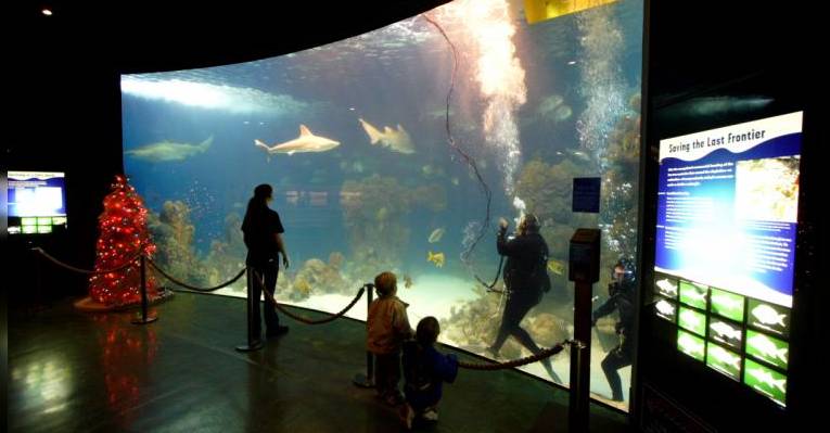 Аквариум Mactan Island Aquarium