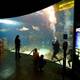 Аквариум Mactan Island Aquarium