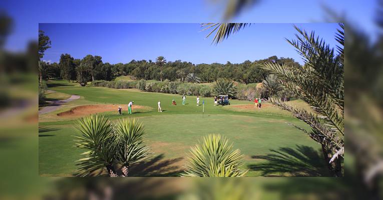 Поле для игры в гольф Golf du Sole