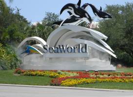 Парк развлечений и морской зоопарк-океанариум SeaWorld Orlando
