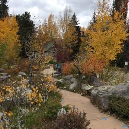 Betty Ford Alpine Gardens