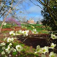 Lewis Ginter Botanical Garden