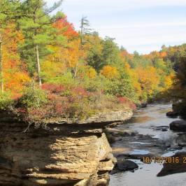Swallow Falls State Park