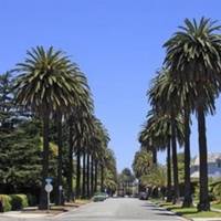 Montana Avenue