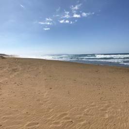 Polihale State Park