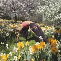 New York Botanical Garden
