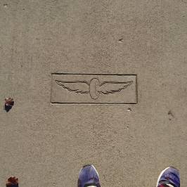 Indianapolis Motor Speedway Museum