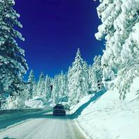 Ski Homewood