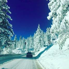 Ski Homewood