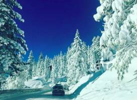 Ski Homewood