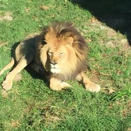 Santa Barbara Zoo