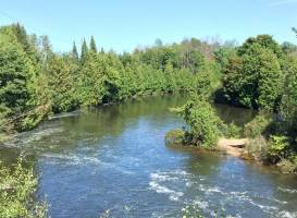 Grand Traverse Natural Education Reserve