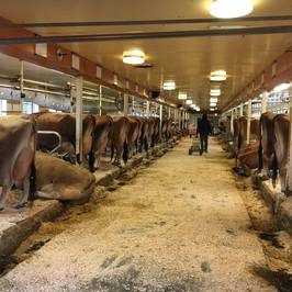 Billings Farm and Museum
