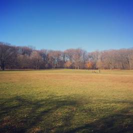 Prospect Park