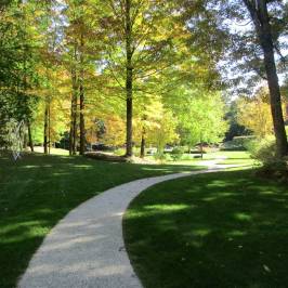The Mount