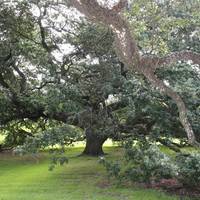 Louisiana's Old State Capitol