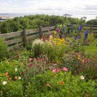 Celia Thaxter's Garden