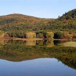 Wood's Pond